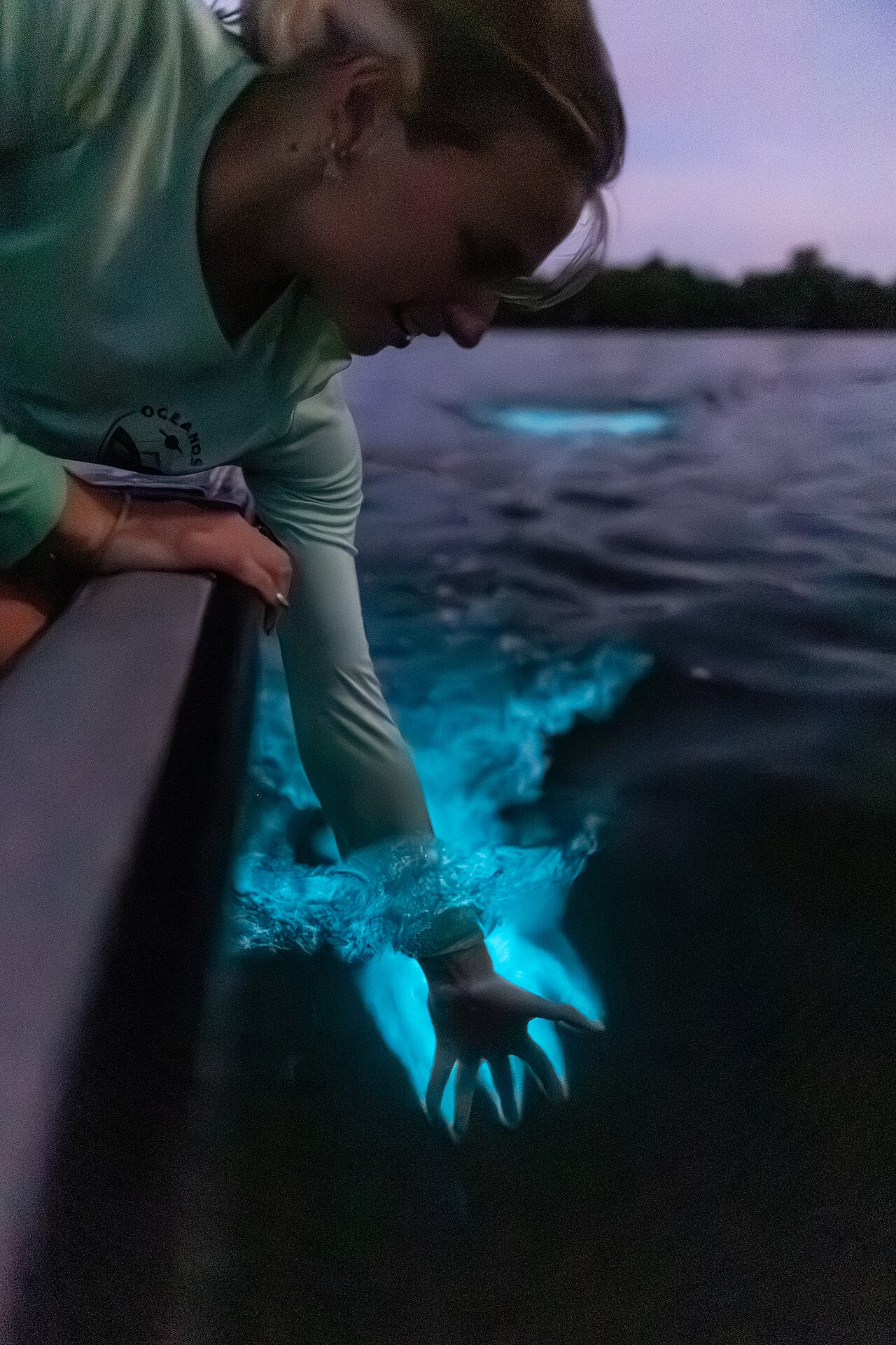 Bioluminescent water around a hand at La Parguera, Puerto Rico
