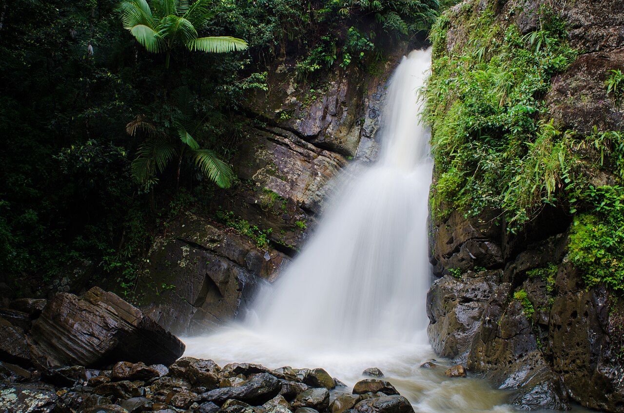 Waterfall and rainforest foliage in El Yunque, Puerto Rico