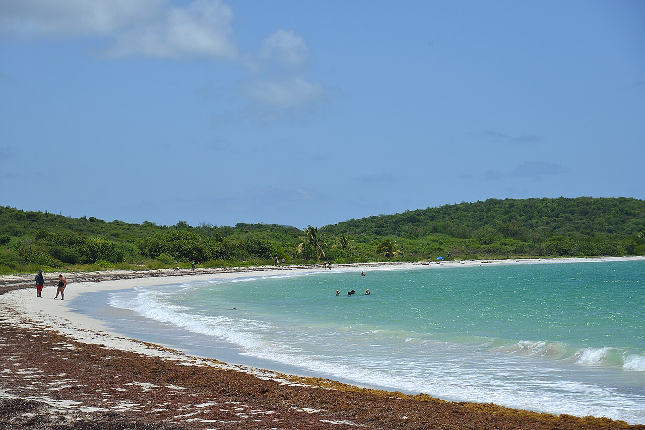 Playa La Chiva and green coastal hills on Vieques, Puerto Rico